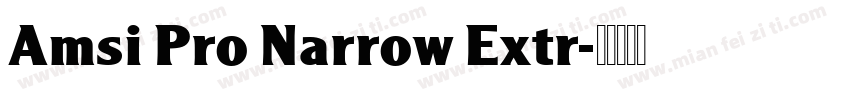 Amsi Pro Narrow Extr字体转换